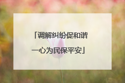 调解纠纷促和谐 一心为民保平安