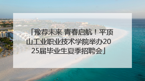 豫荐未来 青春启航！平顶山工业职业技术学院举办2025届毕业生夏季招聘会
