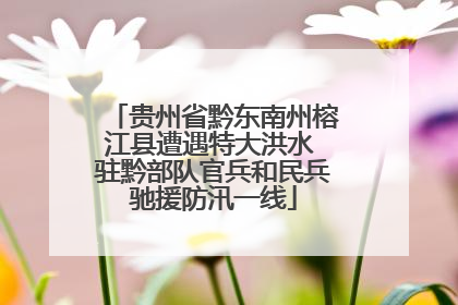 贵州省黔东南州榕江县遭遇特大洪水 驻黔部队官兵和民兵驰援防汛一线
