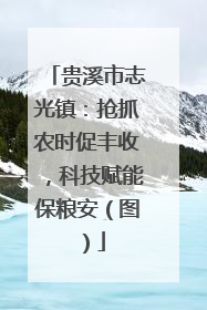 贵溪市志光镇：抢抓农时促丰收，科技赋能保粮安（图）