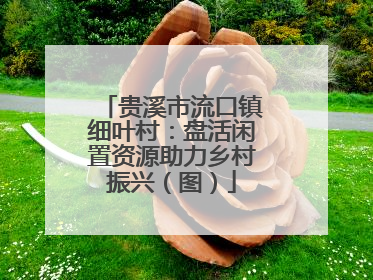 贵溪市流口镇细叶村：盘活闲置资源助力乡村振兴（图）