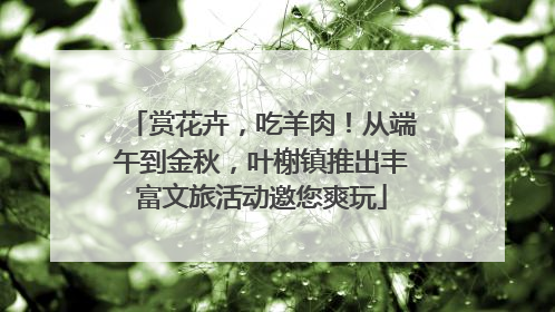 赏花卉，吃羊肉！从端午到金秋，叶榭镇推出丰富文旅活动邀您爽玩