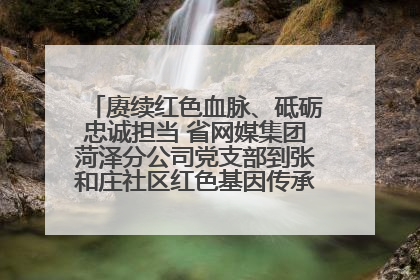 赓续红色血脉、砥砺忠诚担当 省网媒集团菏泽分公司党支部到张和庄社区红色基因传承馆开展主题党日活动