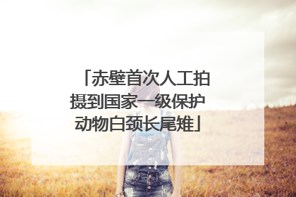 赤壁首次人工拍摄到国家一级保护动物白颈长尾雉