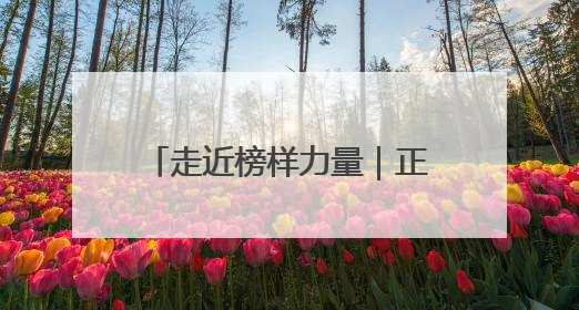 走近榜样力量｜正定特教学校：让“特殊学生”不再特殊