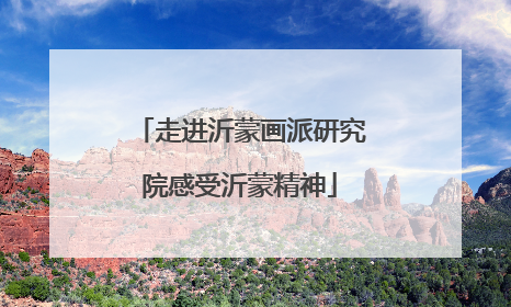 走进沂蒙画派研究院感受沂蒙精神