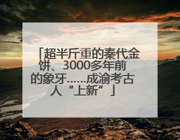 超半斤重的秦代金饼、3000多年前的象牙……成渝考古人“上新”
