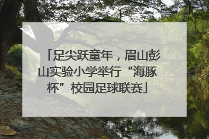 足尖跃童年，眉山彭山实验小学举行“海豚杯”校园足球联赛