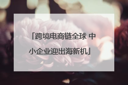 跨境电商链全球 中小企业迎出海新机