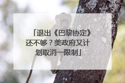 退出《巴黎协定》还不够？美政府又计划取消一限制