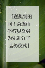 送奖到田间！菏泽市举行见义勇为先进分子表彰仪式