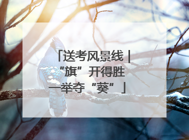 送考风景线｜“旗”开得胜 一举夺“葵”