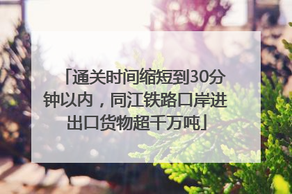 通关时间缩短到30分钟以内，同江铁路口岸进出口货物超千万吨