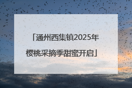 通州西集镇2025年樱桃采摘季甜蜜开启