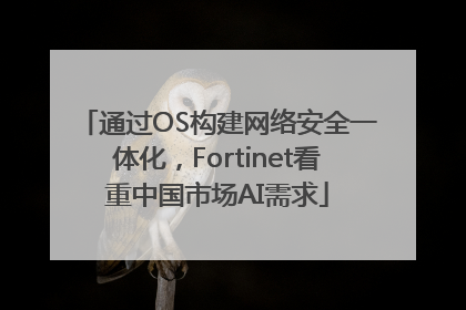 通过OS构建网络安全一体化，Fortinet看重中国市场AI需求