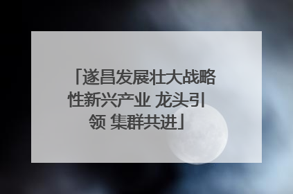 遂昌发展壮大战略性新兴产业 龙头引领 集群共进
