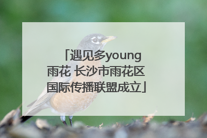 遇见多young雨花 长沙市雨花区国际传播联盟成立