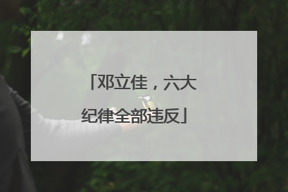 邓立佳，六大纪律全部违反