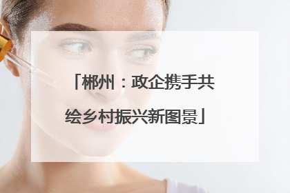 郴州：政企携手共绘乡村振兴新图景