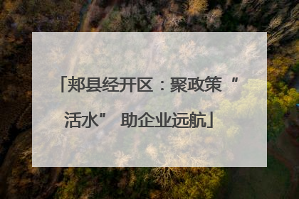 郏县经开区：聚政策“活水” 助企业远航