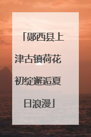 郧西县上津古镇荷花初绽邂逅夏日浪漫