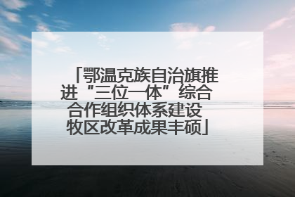 鄂温克族自治旗推进“三位一体”综合合作组织体系建设 牧区改革成果丰硕