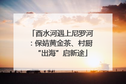 酉水河遇上尼罗河：保靖黄金茶、村厨“出海”启新途