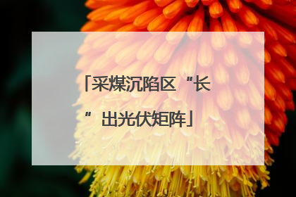 采煤沉陷区“长”出光伏矩阵