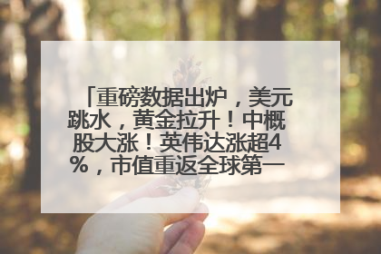 重磅数据出炉，美元跳水，黄金拉升！中概股大涨！英伟达涨超4%，市值重返全球第一！黄仁勋计划出售至多600万股股票