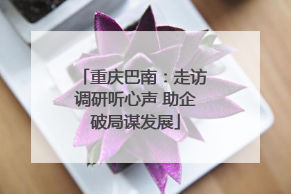 重庆巴南：走访调研听心声 助企破局谋发展