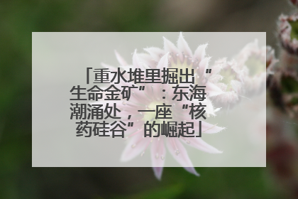 重水堆里掘出“生命金矿”：东海潮涌处，一座“核药硅谷”的崛起