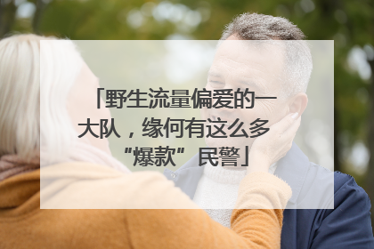 野生流量偏爱的一大队，缘何有这么多“爆款”民警