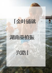 金叶铺就湖南桑植振兴路
