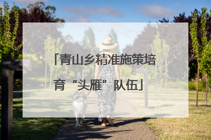 青山乡精准施策培育“头雁”队伍