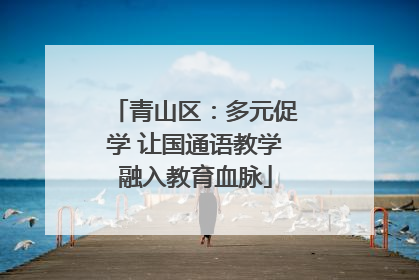 青山区：多元促学 让国通语教学融入教育血脉