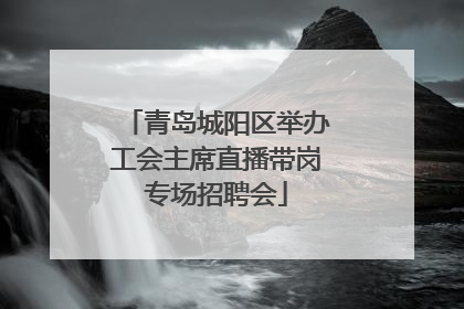 青岛城阳区举办工会主席直播带岗专场招聘会