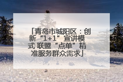 青岛市城阳区：创新“1+1”宣讲模式 联盟“点单”精准服务群众需求