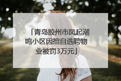 青岛胶州市凤起潮鸣小区因擅自选聘物业被罚3万元