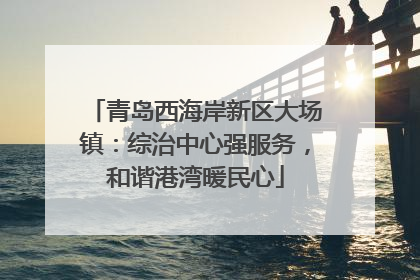青岛西海岸新区大场镇：综治中心强服务，和谐港湾暖民心