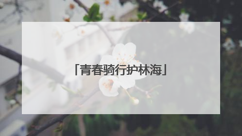 青春骑行护林海