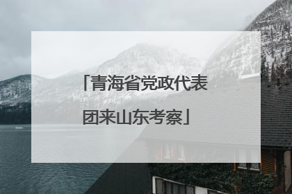 青海省党政代表团来山东考察