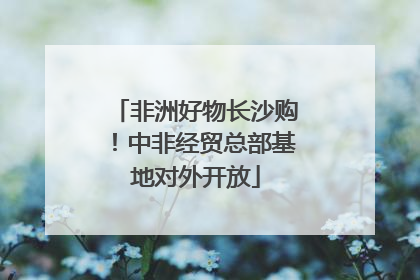 非洲好物长沙购！中非经贸总部基地对外开放