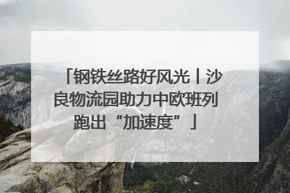 钢铁丝路好风光丨沙良物流园助力中欧班列跑出“加速度”