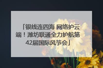 银线连四海 网络护云端！潍坊联通全力护航第42届国际风筝会