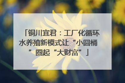 铜川宜君：工厂化循环水养殖新模式让“小圆桶”圈起“大财富”