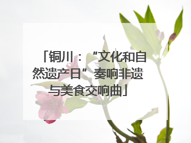 铜川：“文化和自然遗产日”奏响非遗与美食交响曲