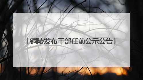 铜陵发布干部任前公示公告