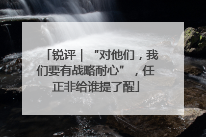 锐评｜“对他们，我们要有战略耐心”，任正非给谁提了醒