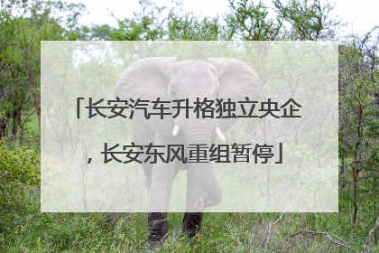 长安汽车升格独立央企，长安东风重组暂停