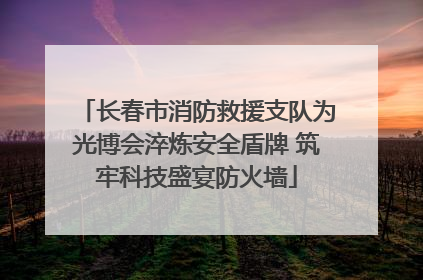 长春市消防救援支队为光博会淬炼安全盾牌 筑牢科技盛宴防火墙